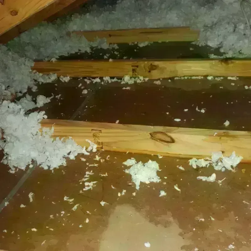 Attic Water Damage in Hurricane, UT