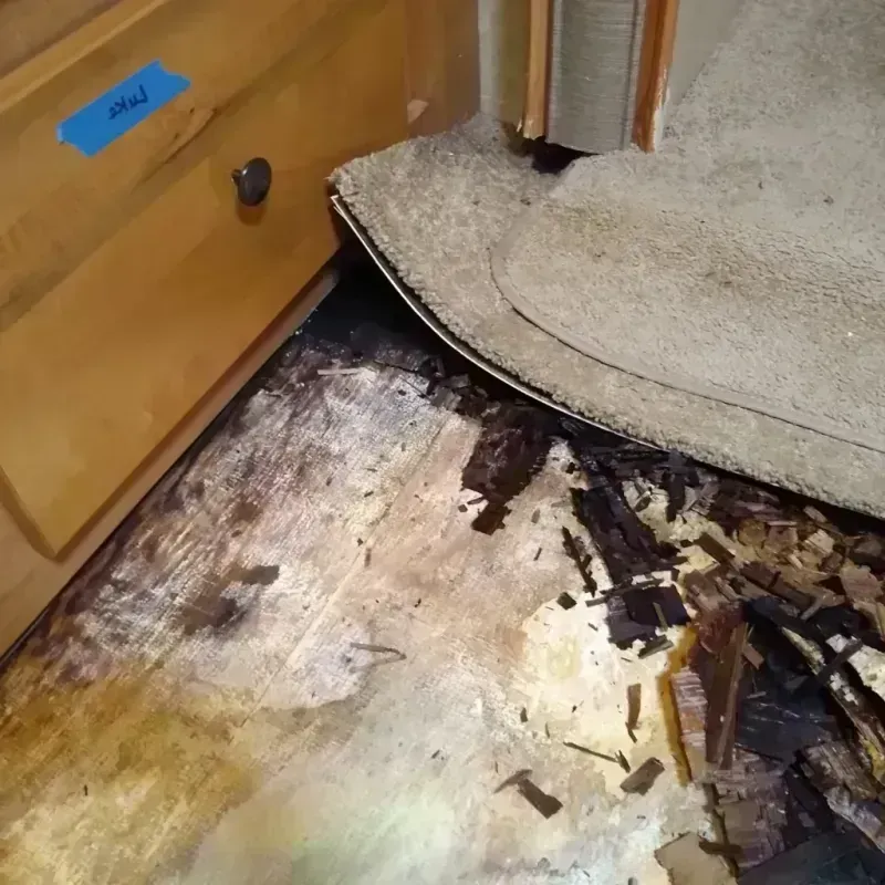 Best Wood Floor Water Damage Service in Hurricane, UT